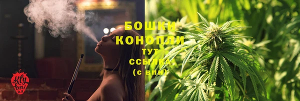 крисы Арсеньев