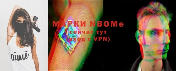 сатива Армянск