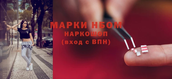прущий лед Алзамай