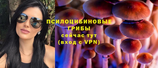 крисы Арсеньев