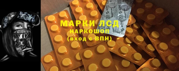 сатива Армянск