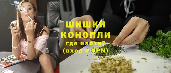 сатива Армянск