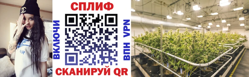 дарк нет клад  купить наркотик  Белокуриха  Бошки Шишки Bruce Banner 